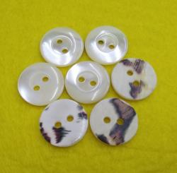 Shinning Blue Trocas Shell Shirt Button 12mm