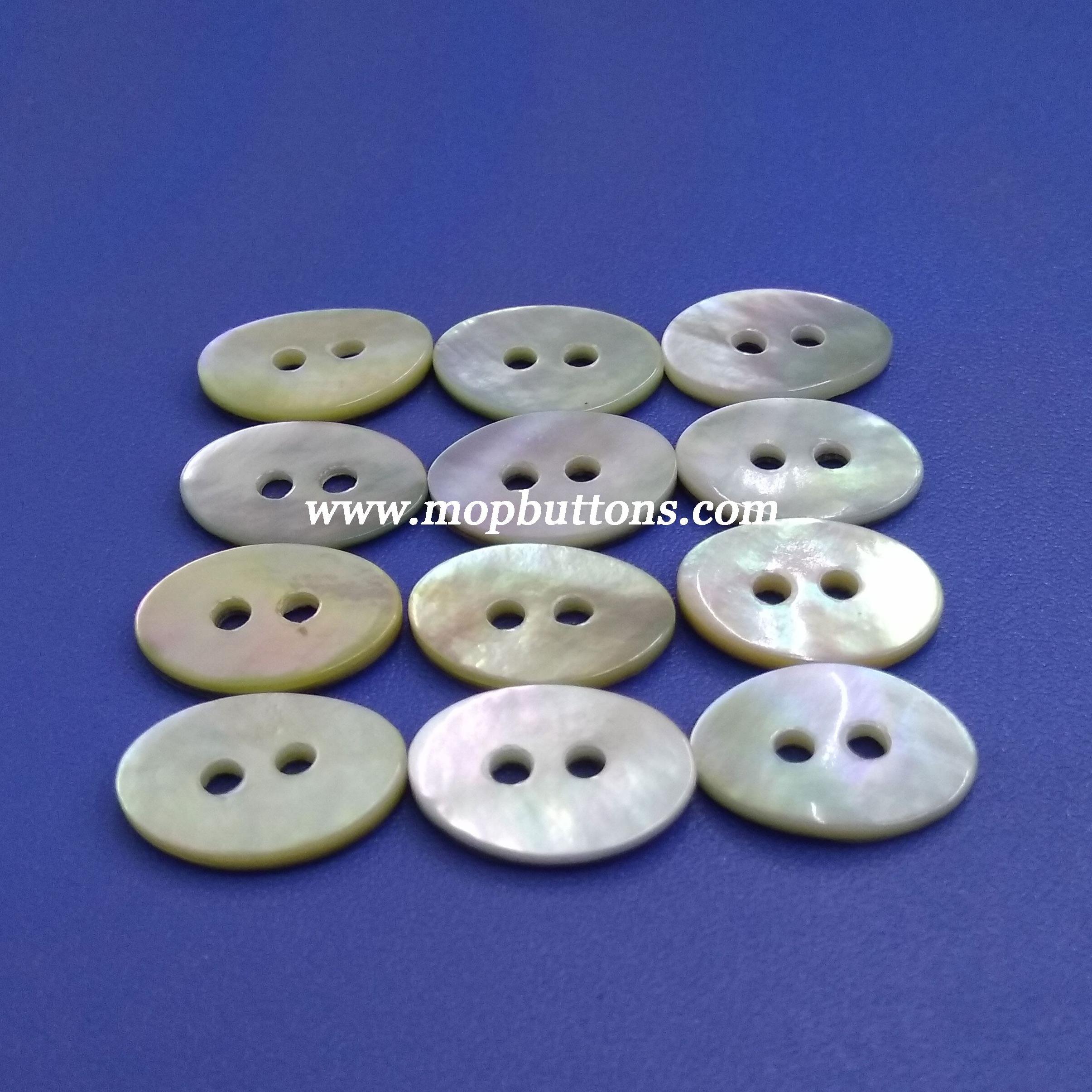 Ellipse 2 Holes Round Japanese Akoya Shell Buttons