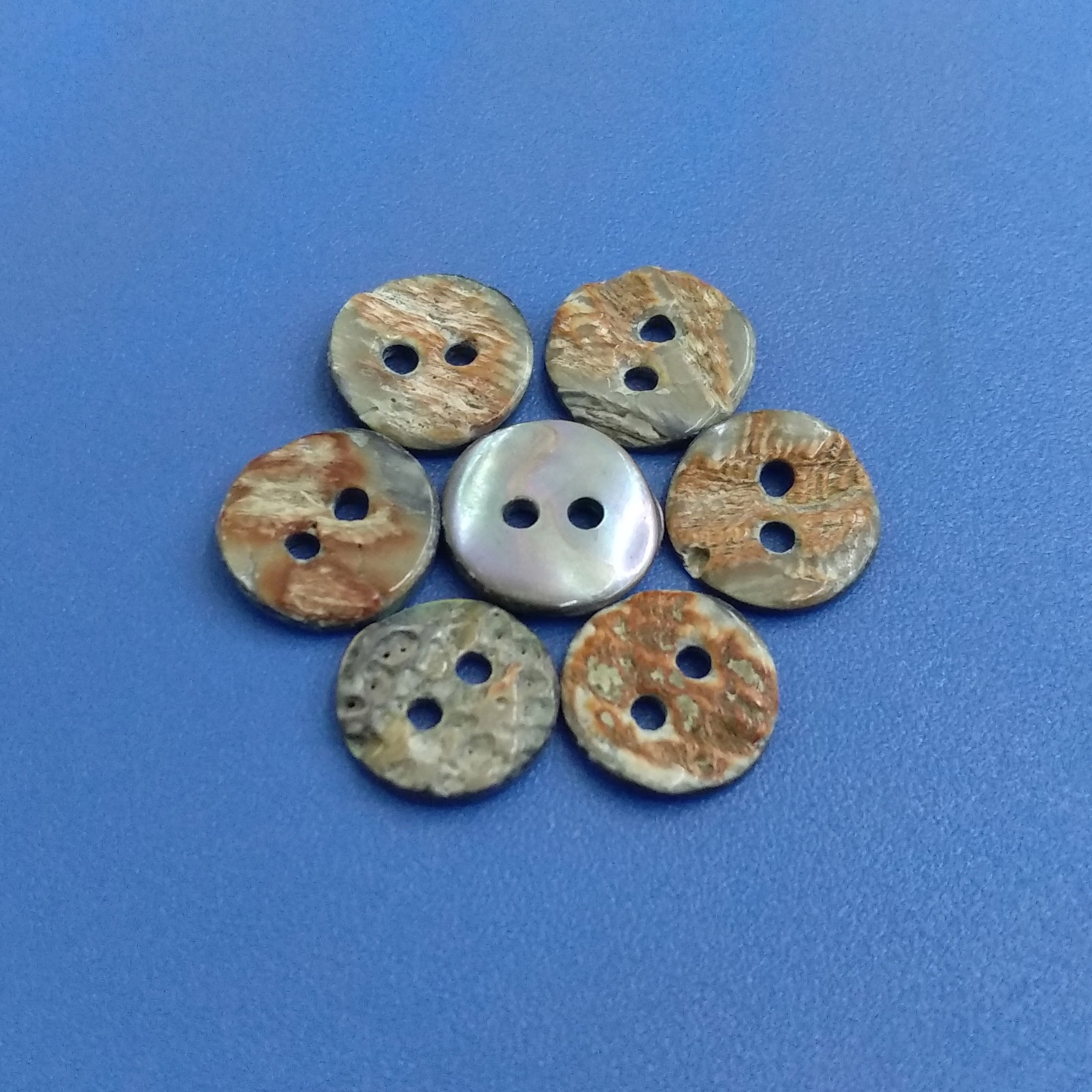 Natural Grey Smoke Color Abalone Shell Button