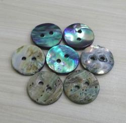 High Brightness New Zealand Blue Abalone Shell Button with Rainbow Effect