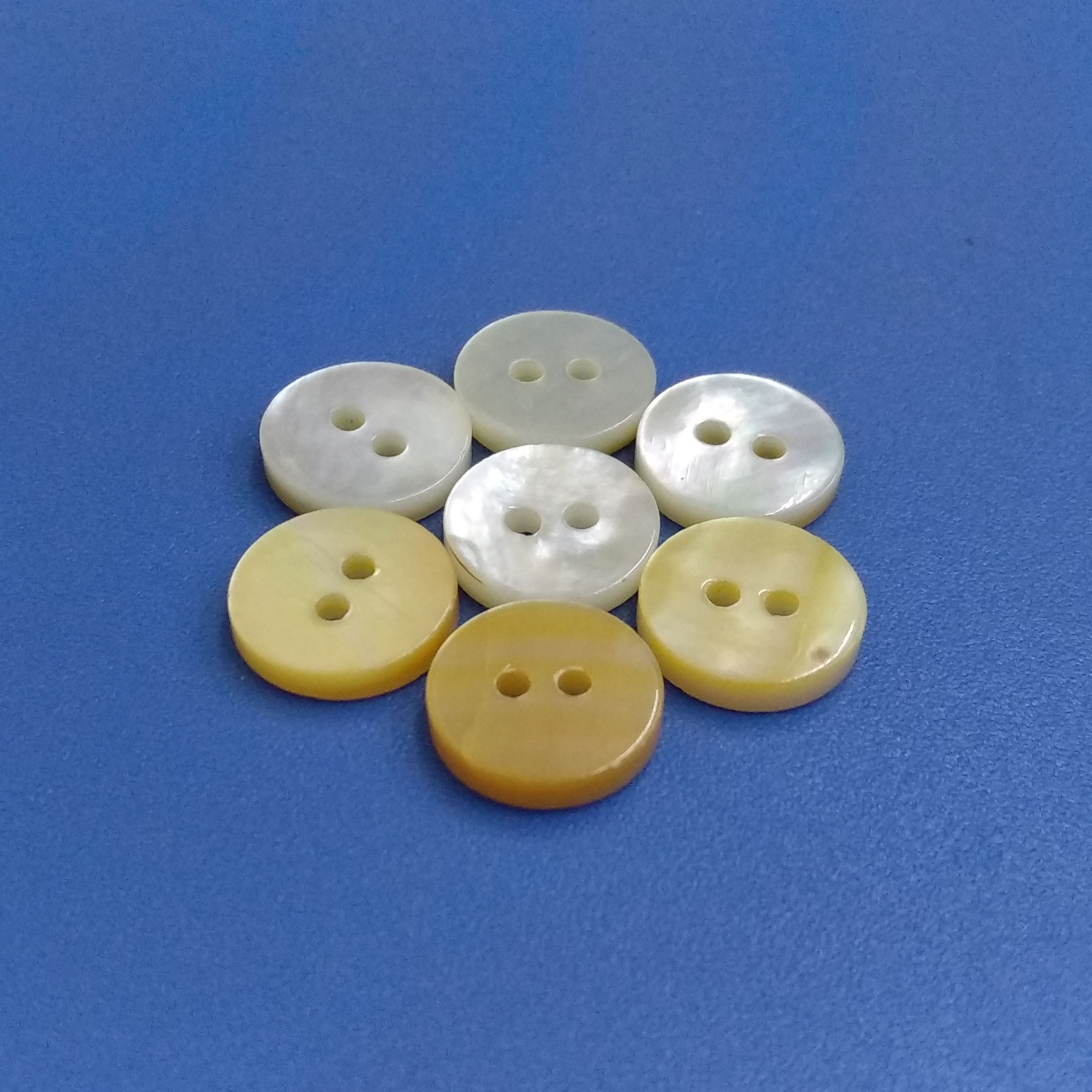 One Side Polished White Bulk Natural Mother of Pearl French Button