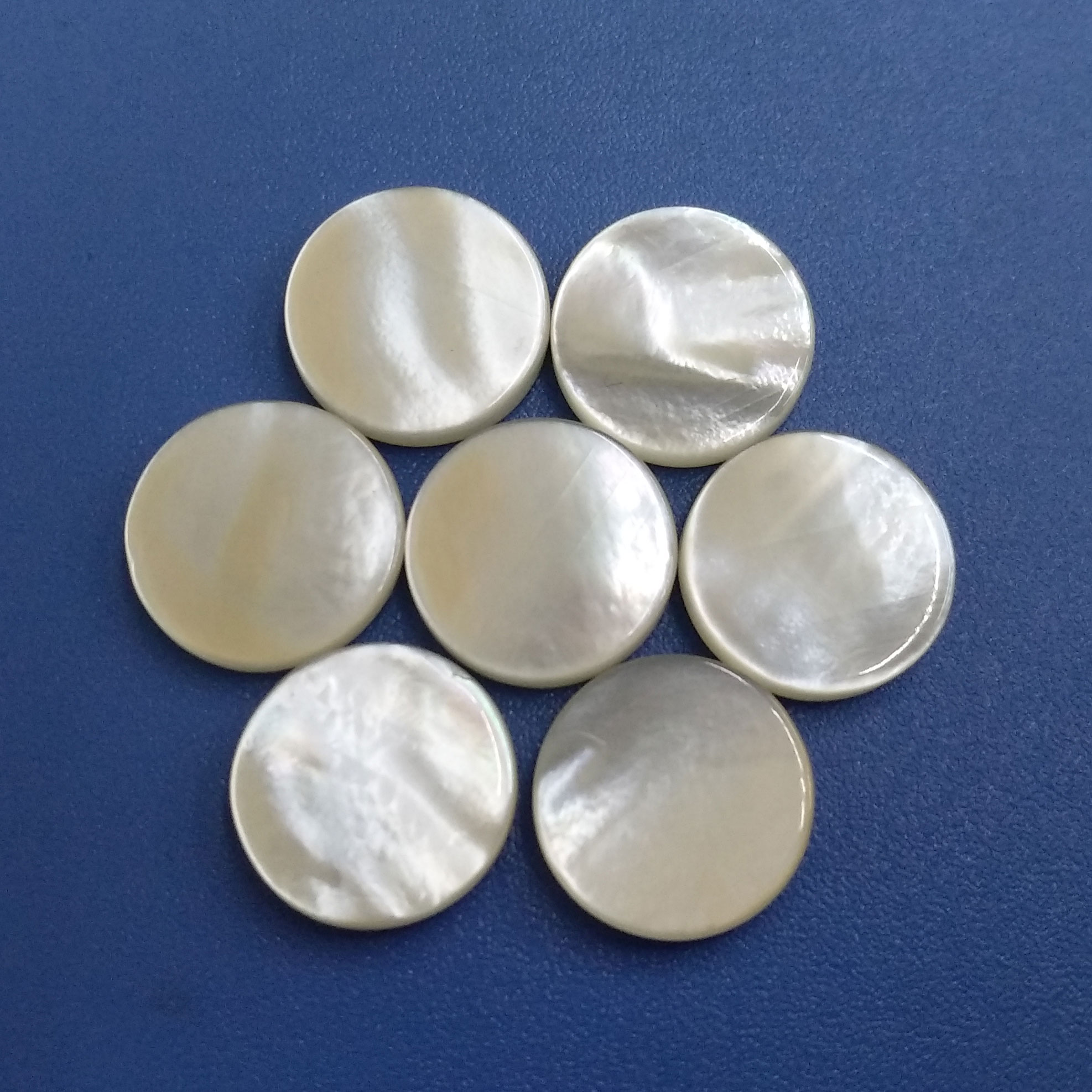 High Polished White Natural Mother of Pearl Shank Buttons Free Shipping