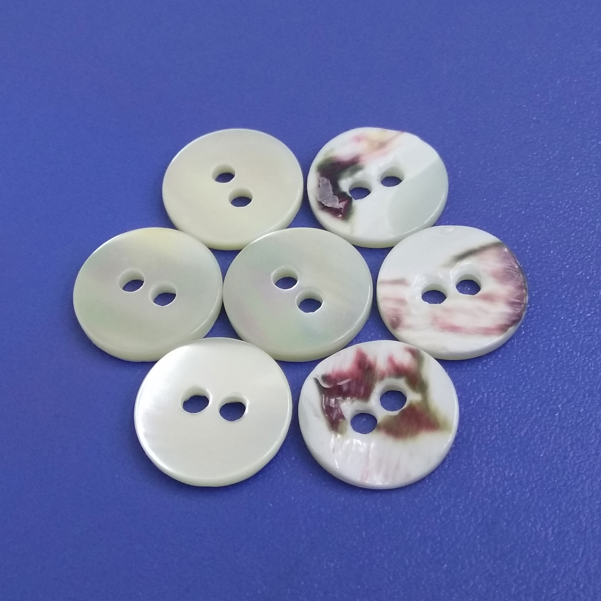 Super White Natural Trocas Shell Buttons with Original Skin