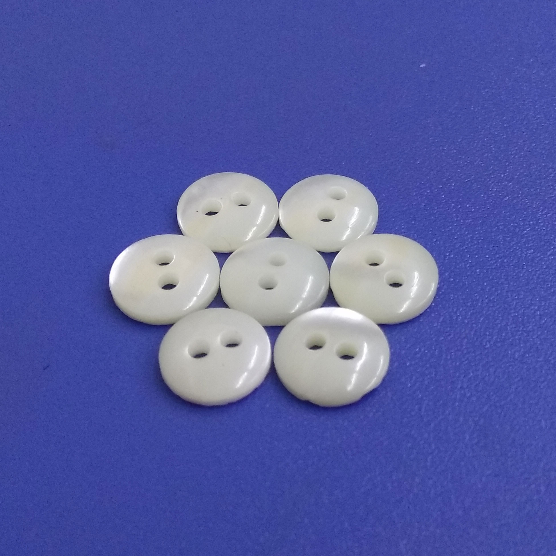 Fancy 3mm ThicknessTwo Holes White Trocas Shell Sewing Shirt Buttons