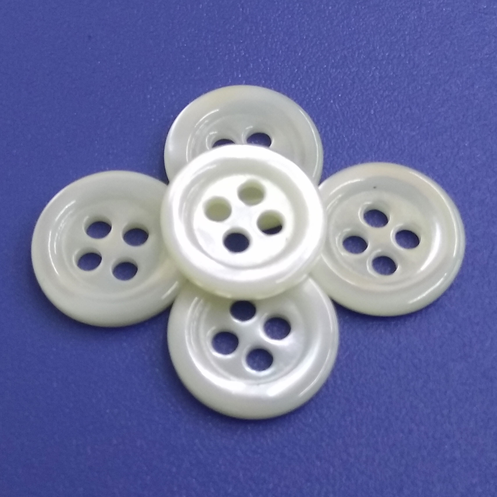 Shirt Clothing Buttons Made from Natural Trocas Shell Material