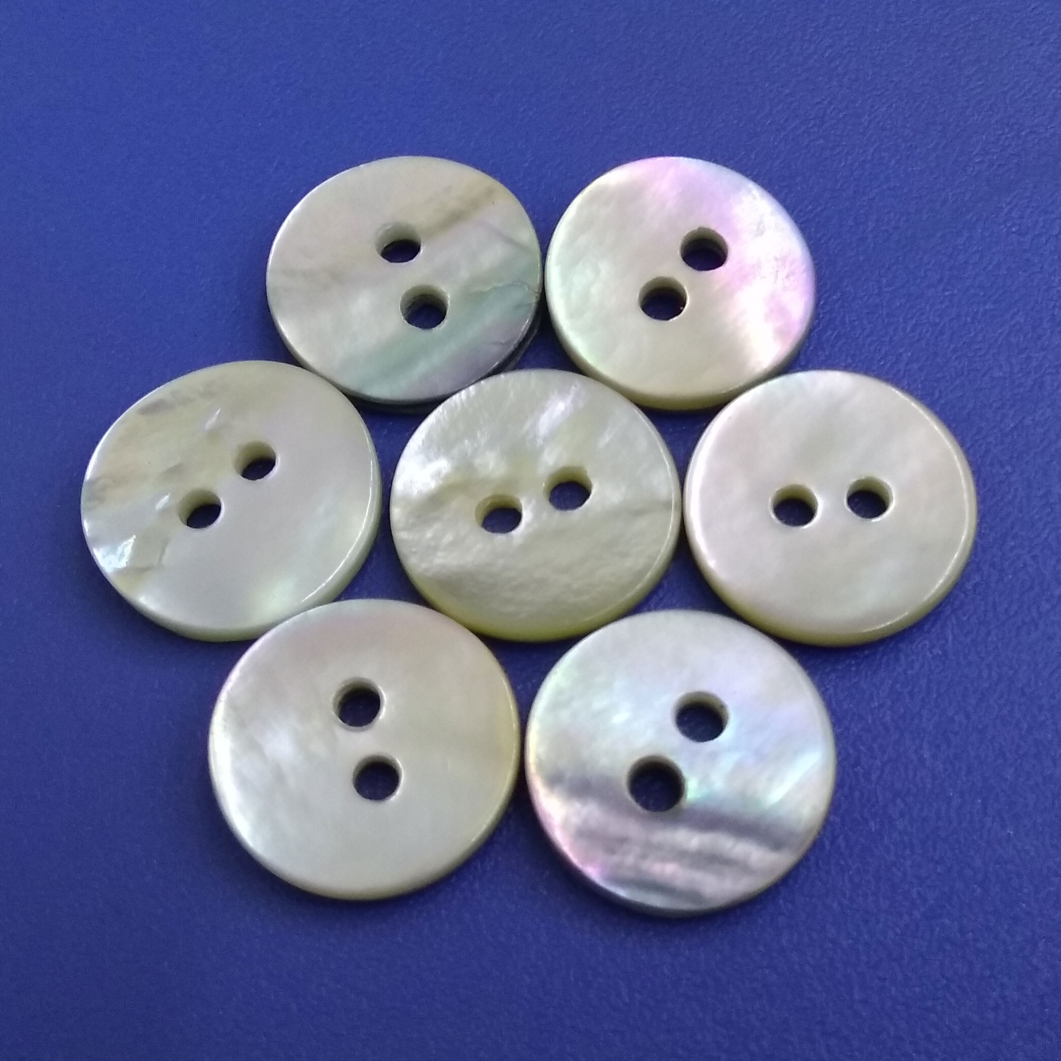 Two Holes Natural Agoya Shell Sewing Notions Buttons Haberdashery Accessories