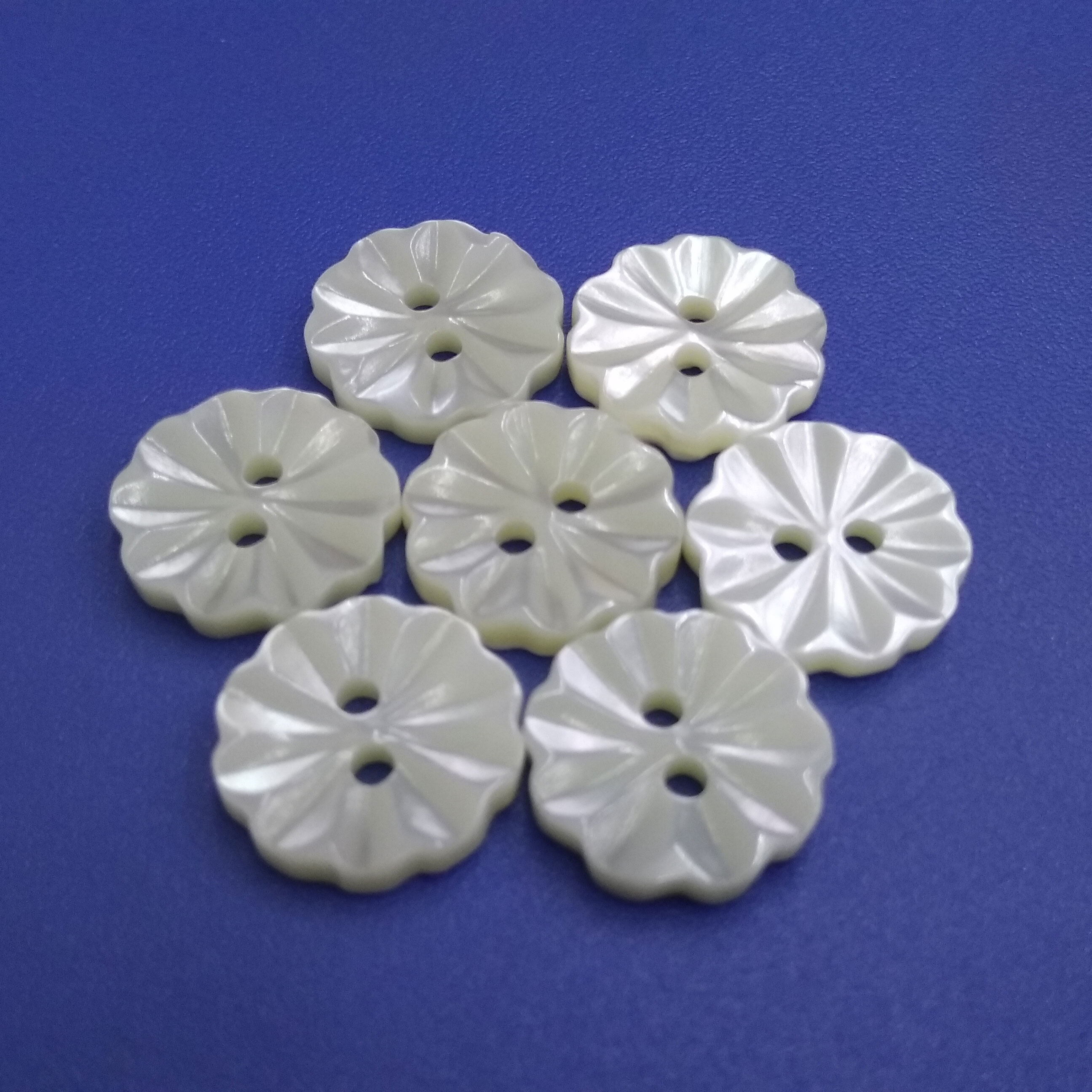 New China Buttons Suppliers Boutons de Nacre Trocas in Various Sizes and Colors