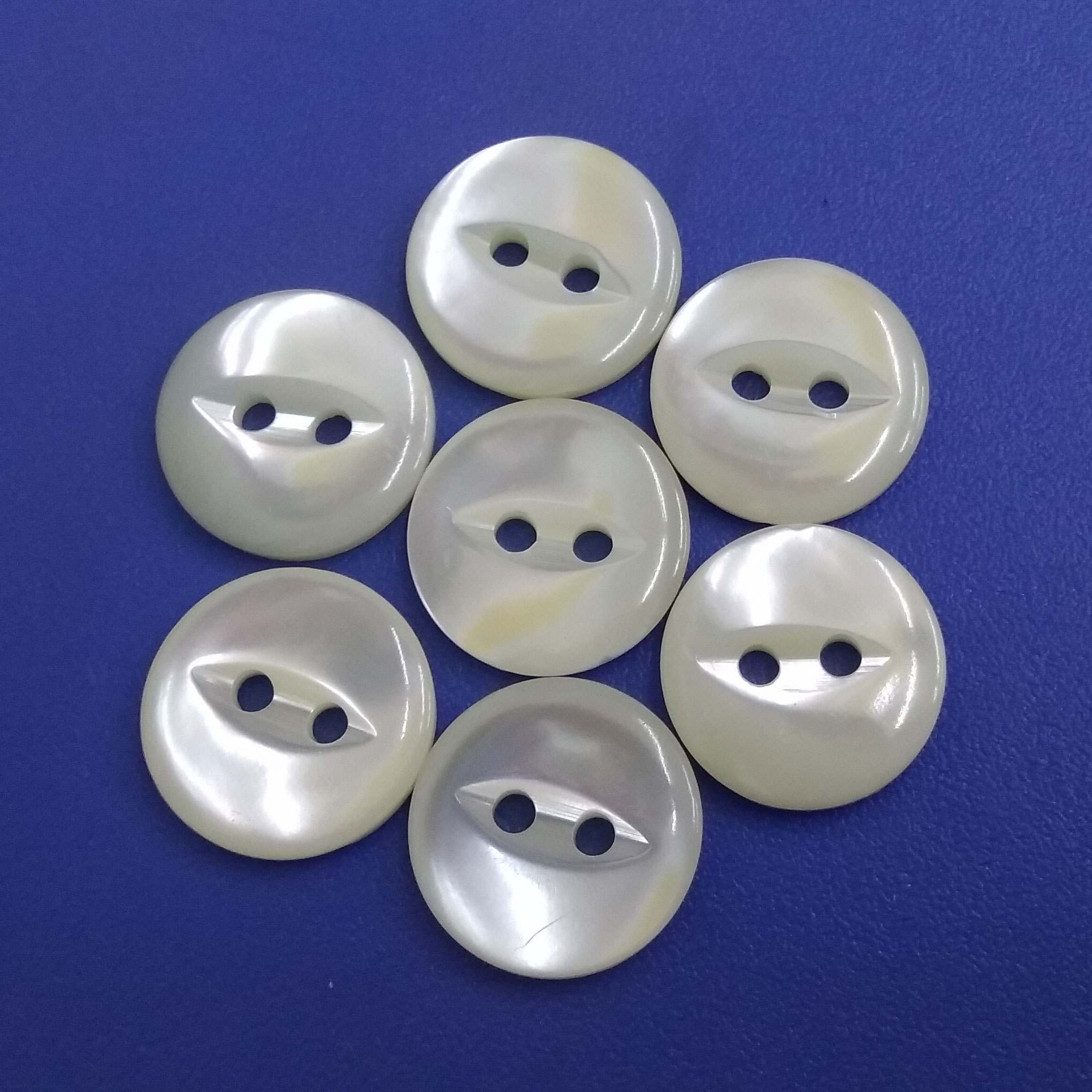 Stunning Cat Eye Shape Trocas Shell Material Button for Fashion Shirt Brand