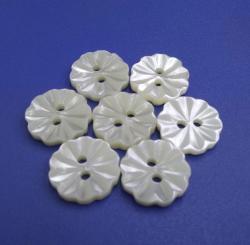 New China Buttons Suppliers Boutons de Nacre Trocas in Various Sizes and Colors