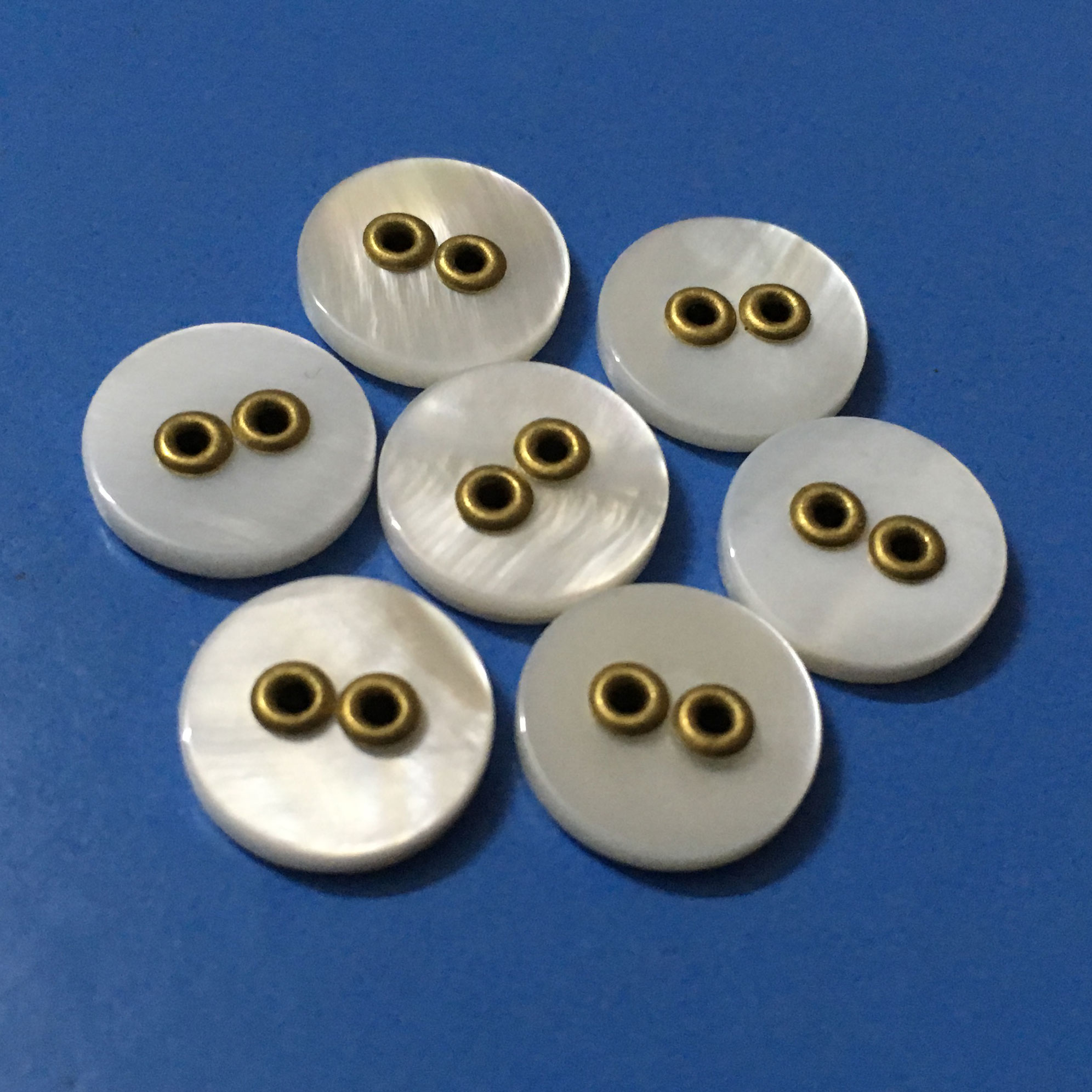 Novelty Design Vintage Classic White River Shell Button
