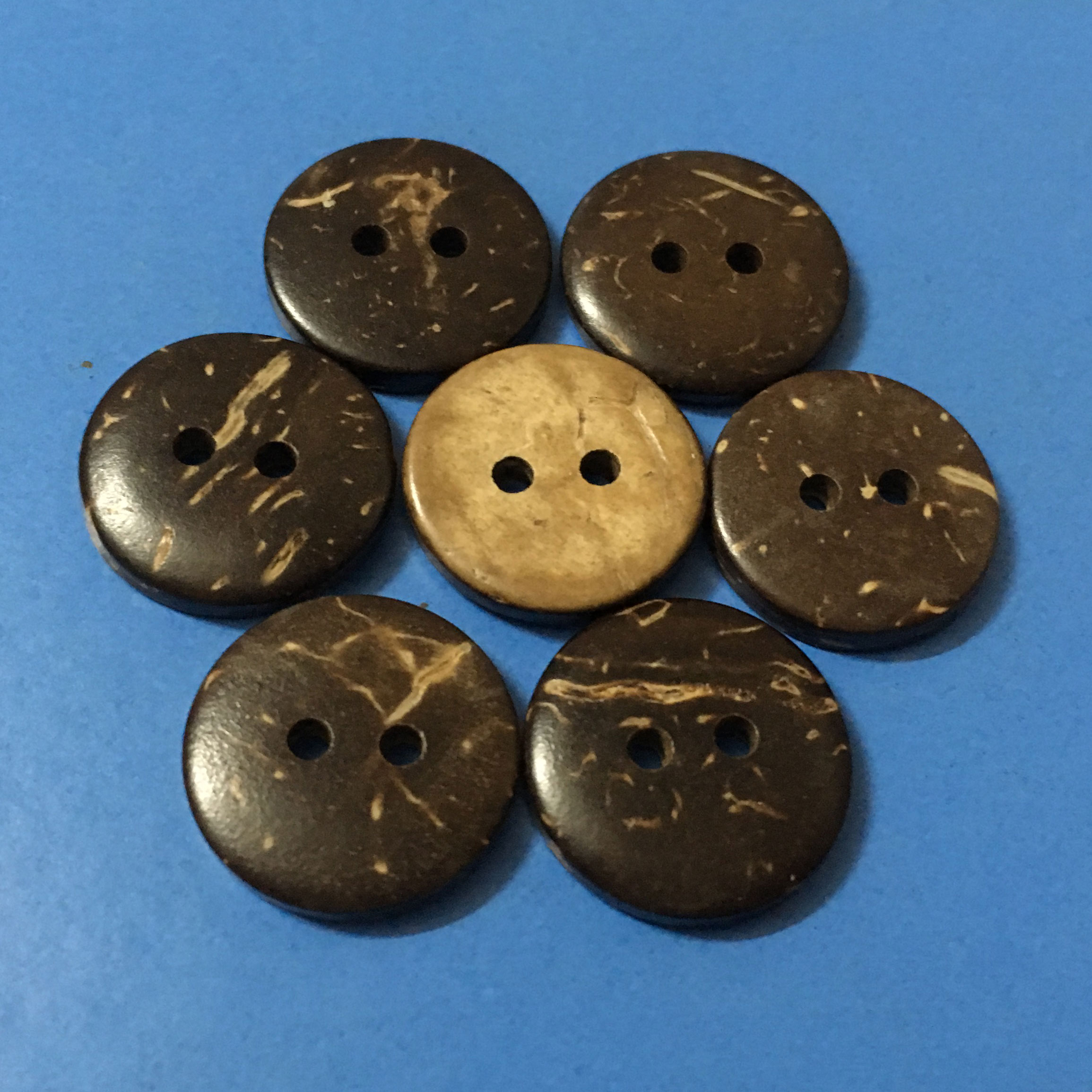 2H Polished Natural Coconut Button for Knitwear Garment Industry Manufacturer