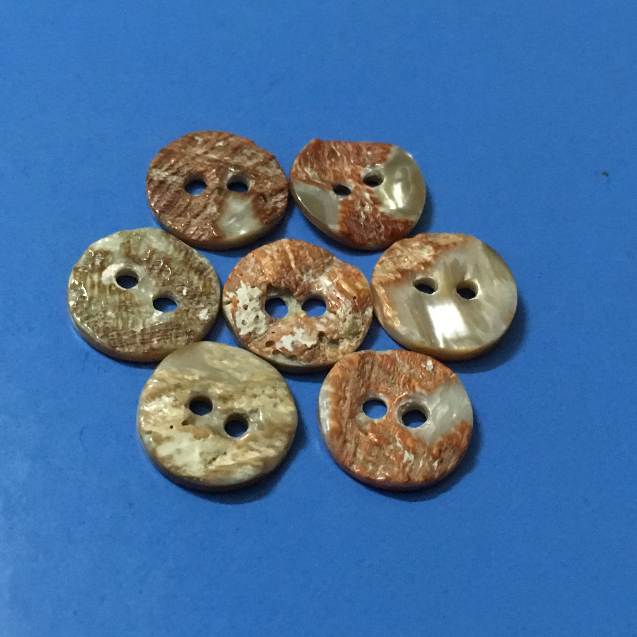2H Genuine Natural Color Australia Mother of Pearl Abalone Shell Button