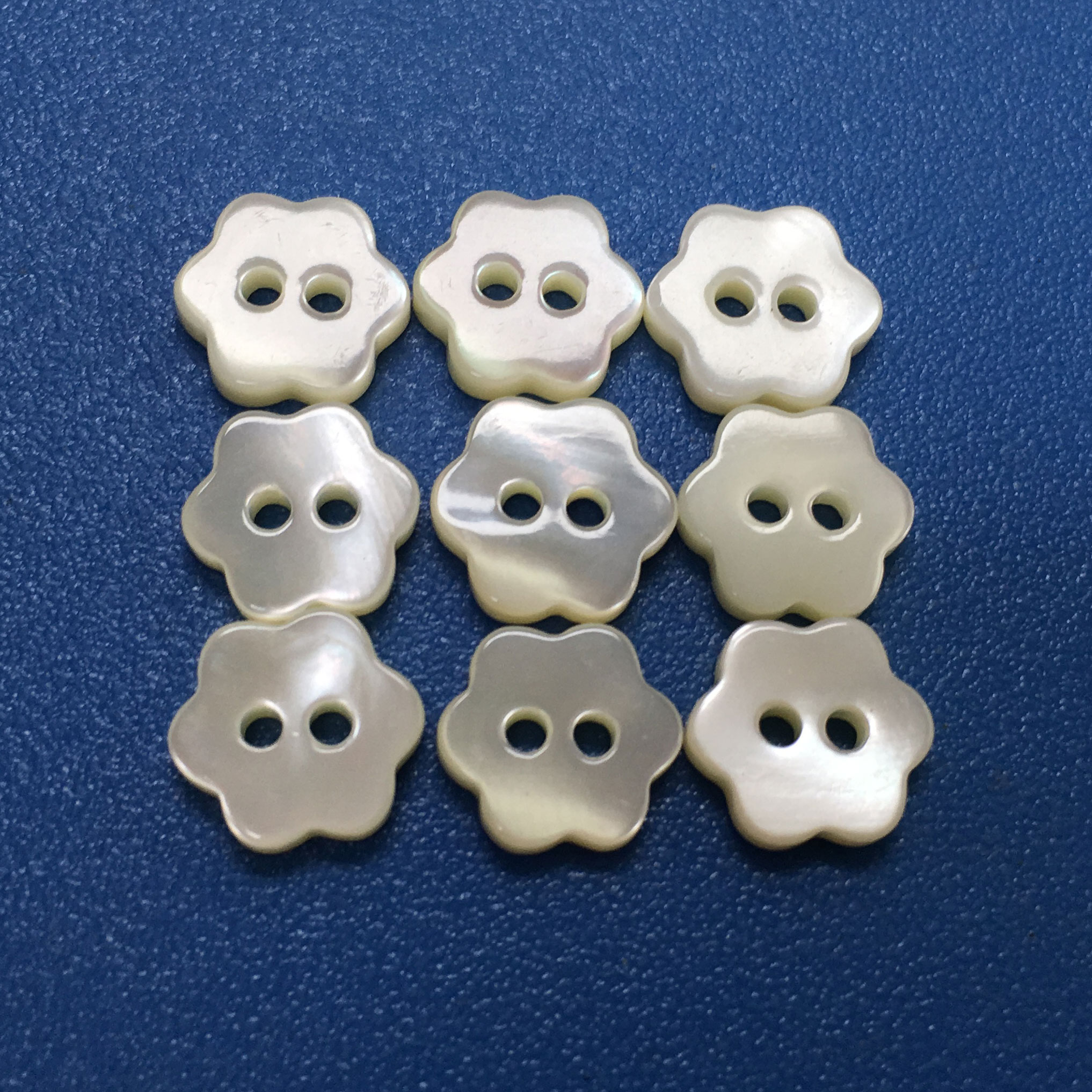 Superior Quality Custom Natural Trocas Shell Material Clothing Accessories