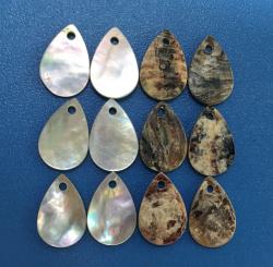 Customized Drops Akoya/Agoya Shell Shape for Clothing or Jewellery Ornaments