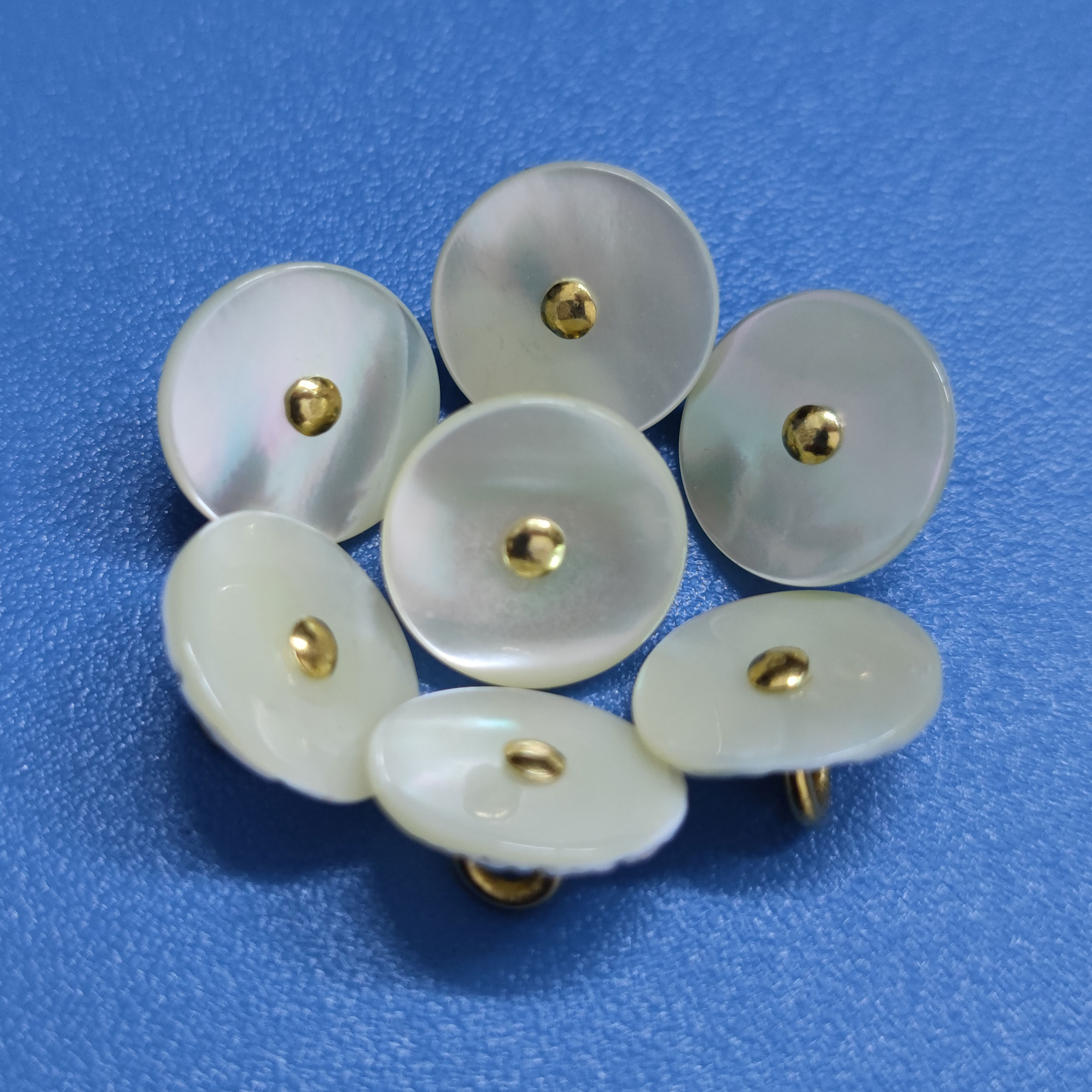 High End Quality Vintage Natural Trocas Shell Shank Golden Metal Buttons