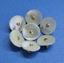 High End Quality Vintage Natural Trocas Shell Shank Golden Metal Buttons